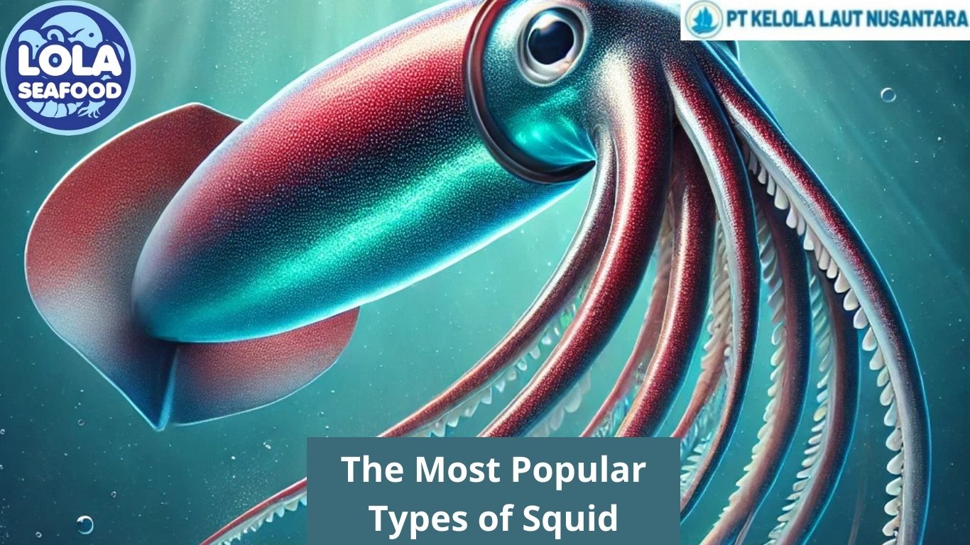 The Most Popular Types of Squid